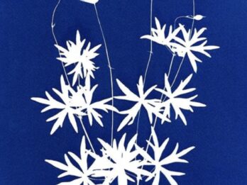 Wee Norrag Cyanotype prints